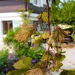 Chalet Les Tourelles